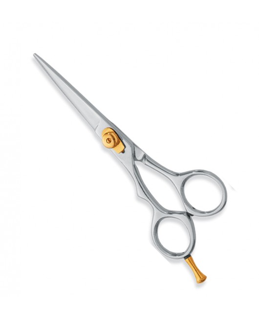 Professional hair Cutting Scissors