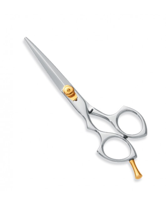 Professional hair Cutting Scissors