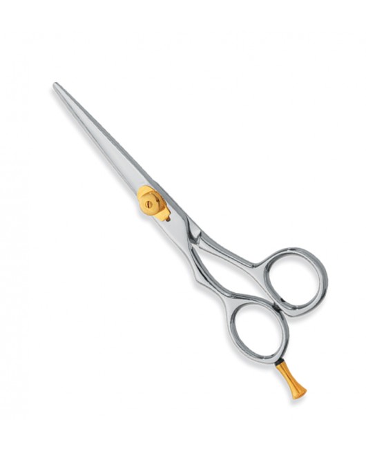 Professional hair Cutting Scissors