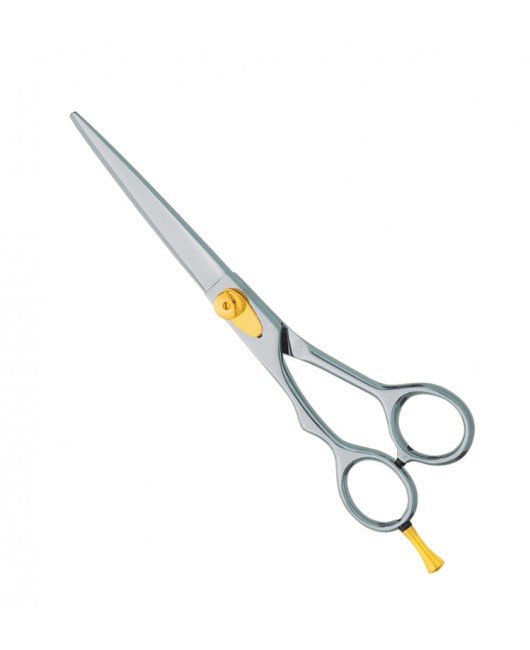 Professional hair Cutting Scissors