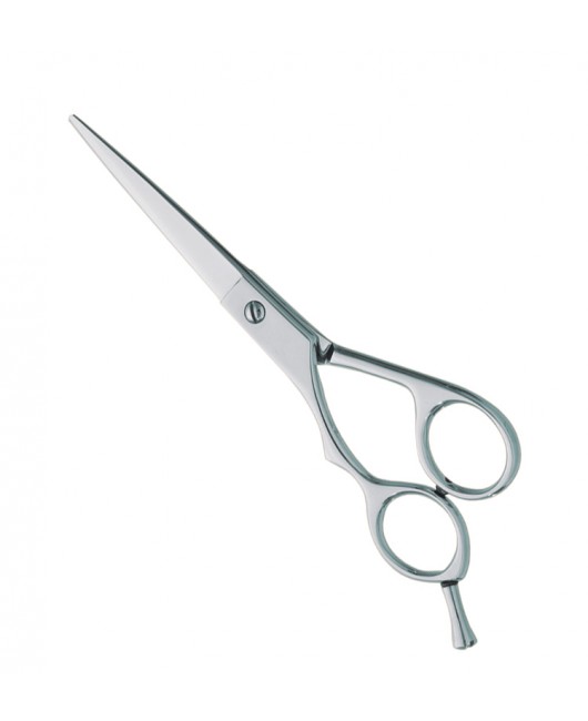 Professional hair Cutting Scissors