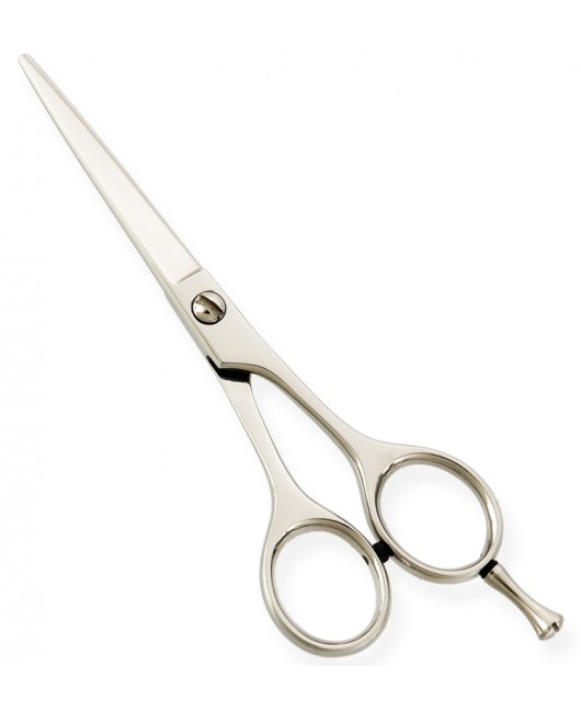 Standard Hair Dressing Scissors