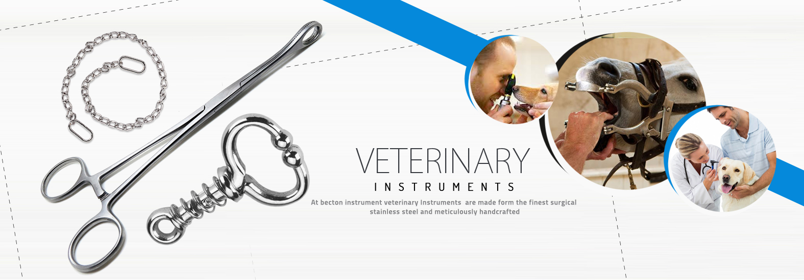 Veternary Instruments